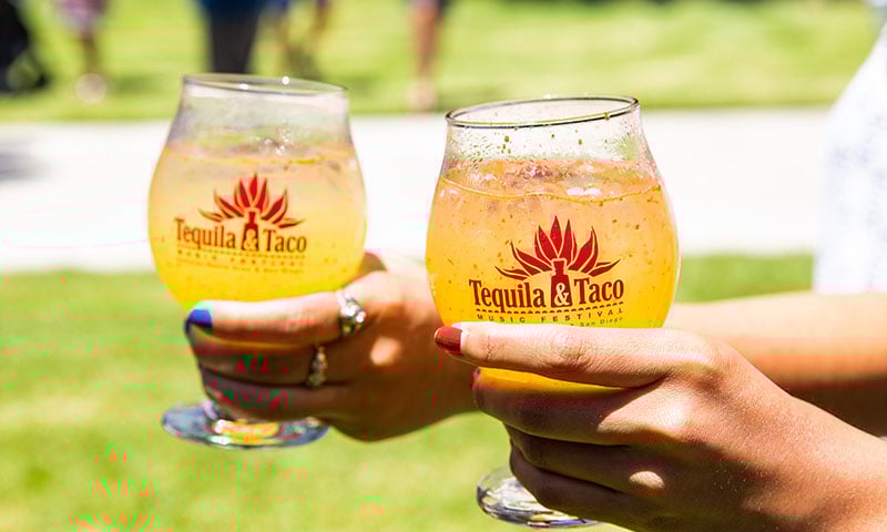 tequila-taco-festival-glasses