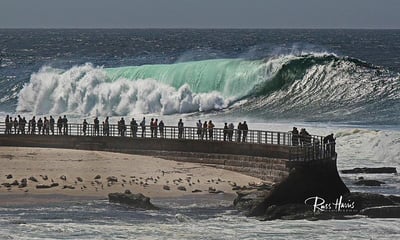 Vague déferlante à Children's Pool La Jolla's Pool La Jolla