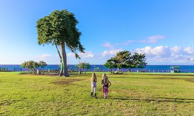 ラ ホーヤのドクター・スースの木の近くの子供たち