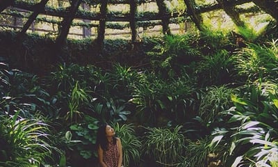 Lady Sitting in The Self-Realization Fellowship Meditation Garden in San Diego