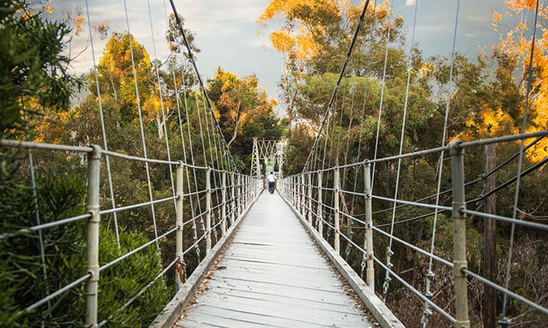 spruce-street-suspension-bridge