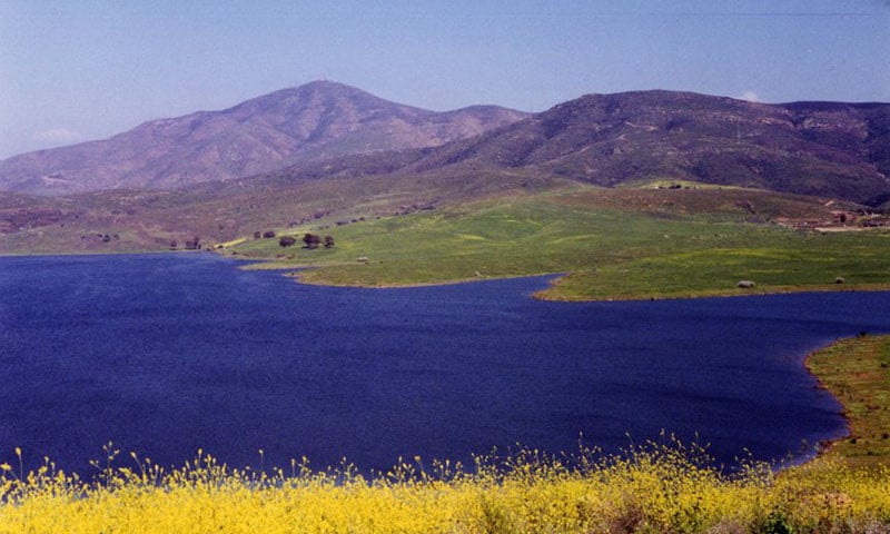 Bonita-reservoir