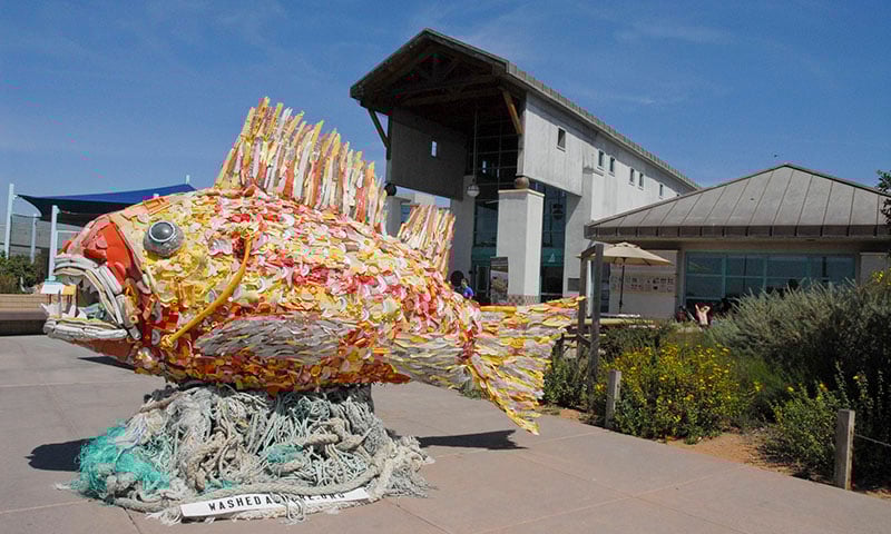 nature-center