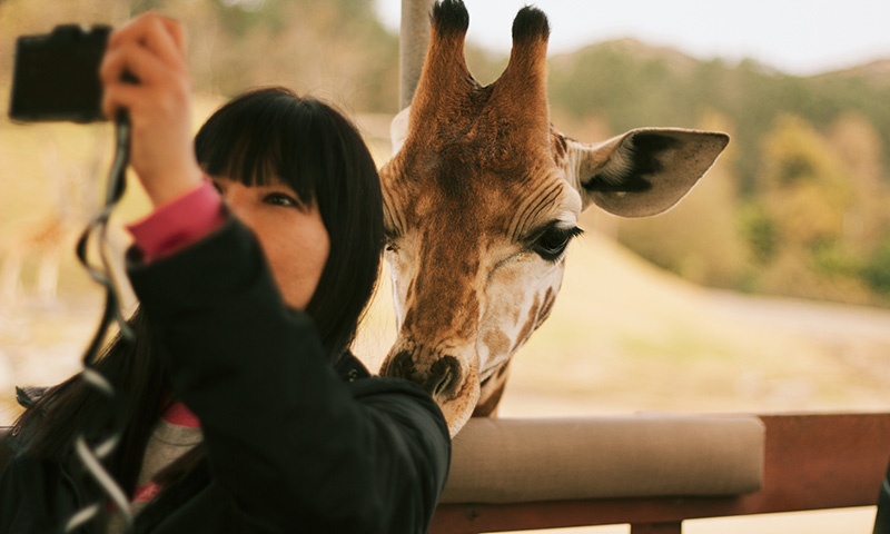 escondido-zoo-safari-park.jpg escondido-zoo-safari-park.jpg