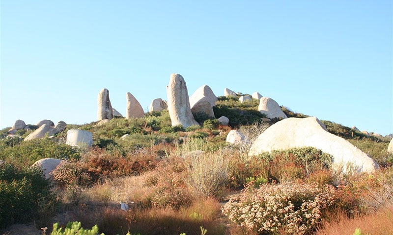 jamul-landscape