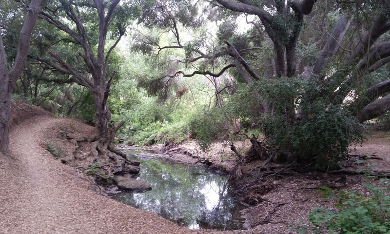 tecolote-canyon.jpg tecolote-canyon.jpg