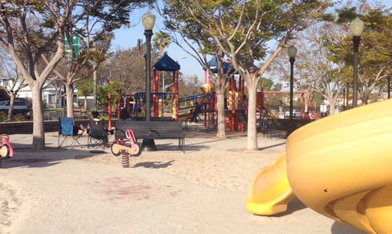park-things-to-see-and-do.jpg