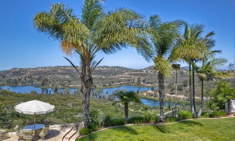 scripps-trees-2-beauty