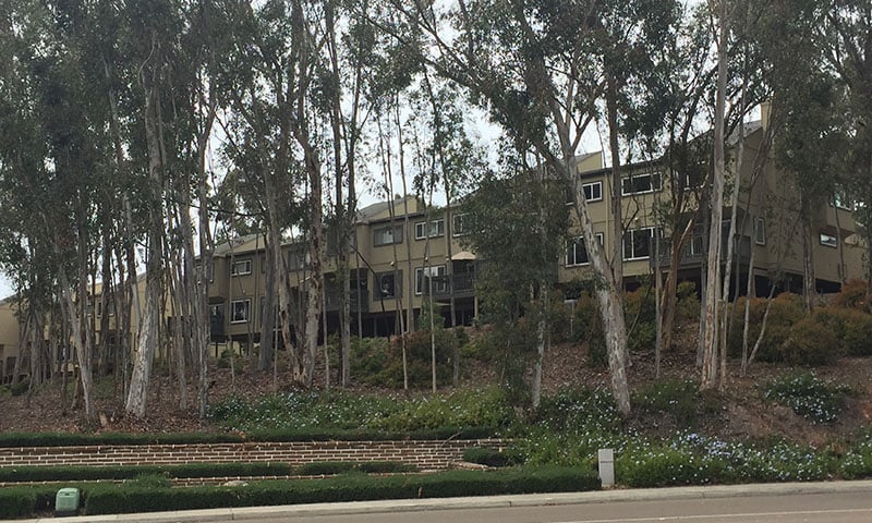 scripps-trees