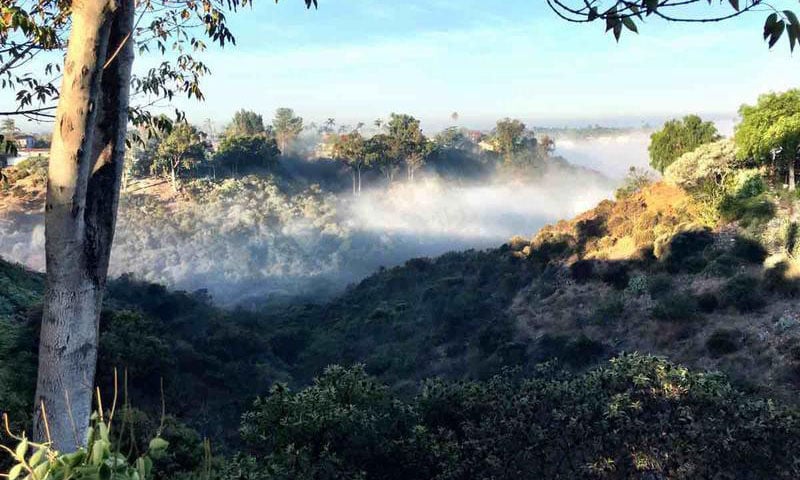 hills-view-fog