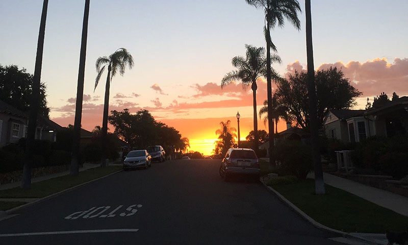 talmadge-neighborhood-sunset