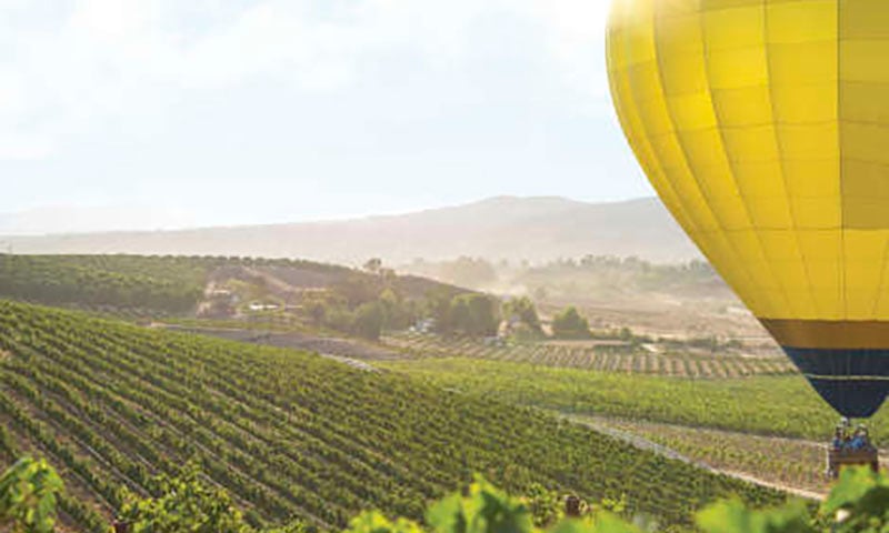 hot-air-baloon-vinyeard-temecula copy
