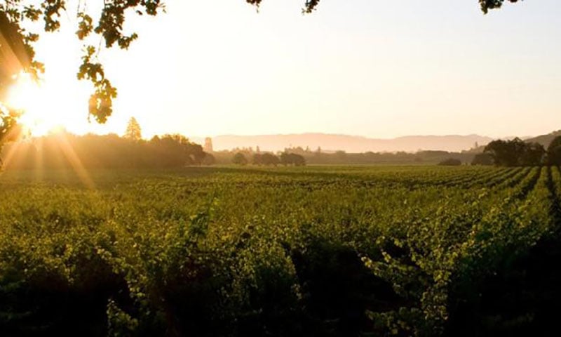 temecula-beauty-view copy