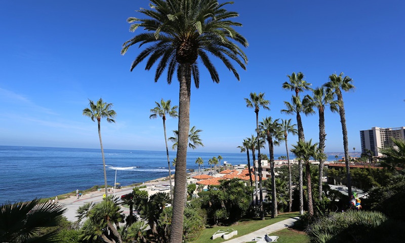 university-city-san-diego-ca-neighborhood-photo.jpg university-city-san-diego-ca-neighborhood-photo.jpg