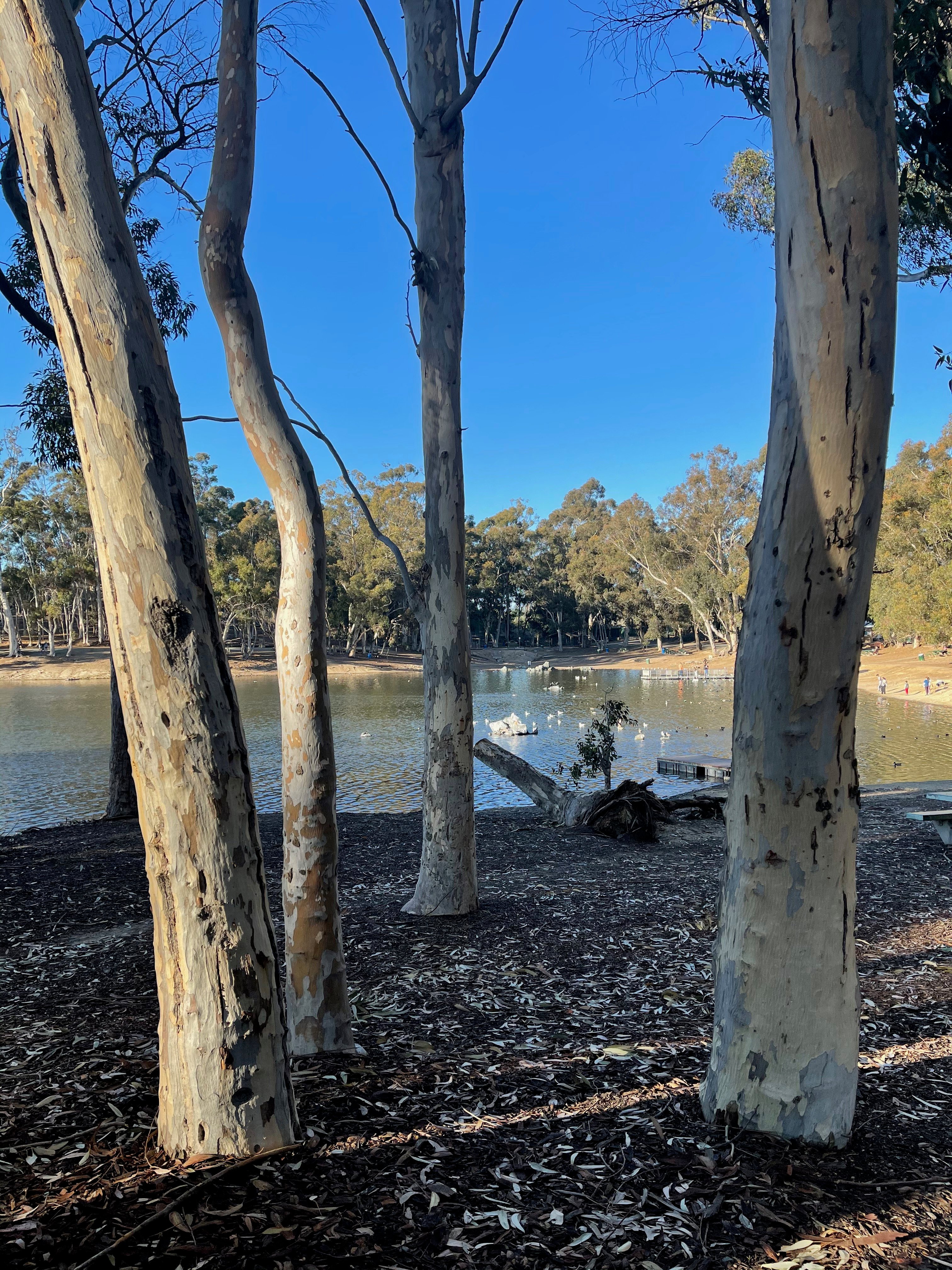 Oak Park - Chollas Lake Park