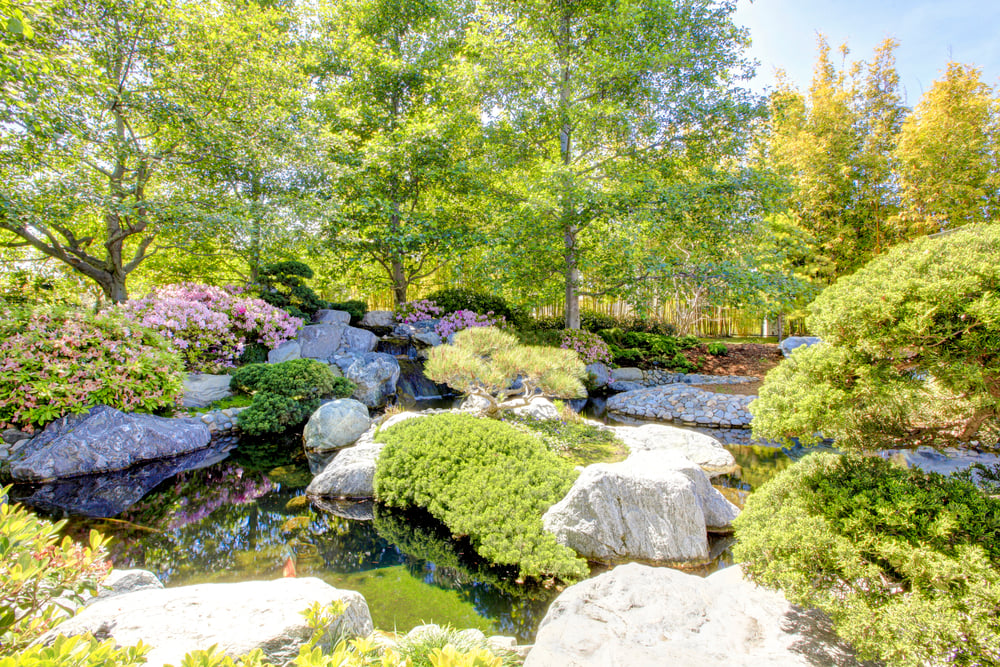The Best Spots To Photograph In San Diego