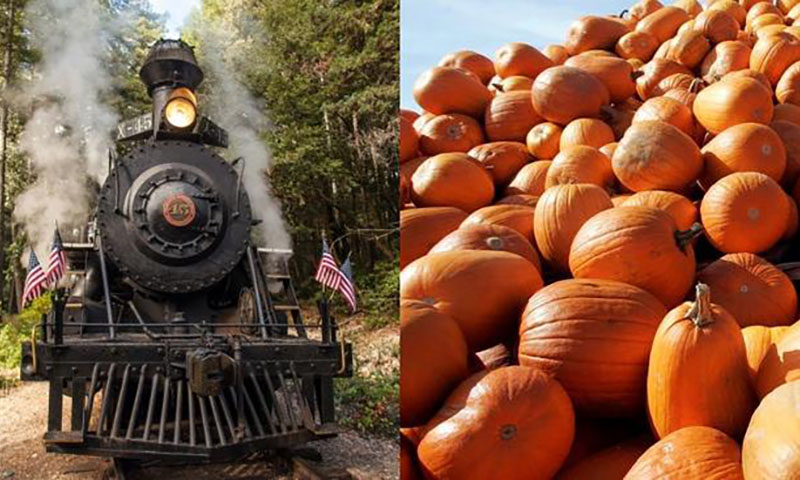 pumpkin-express