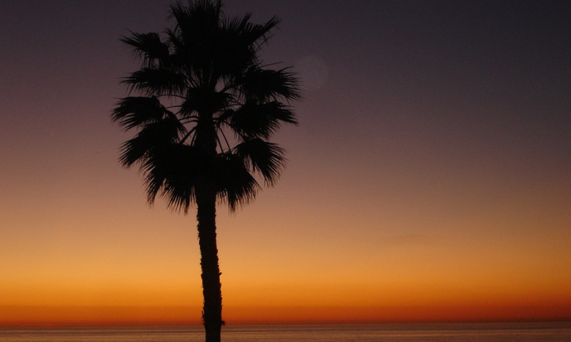 sunset.jpg
